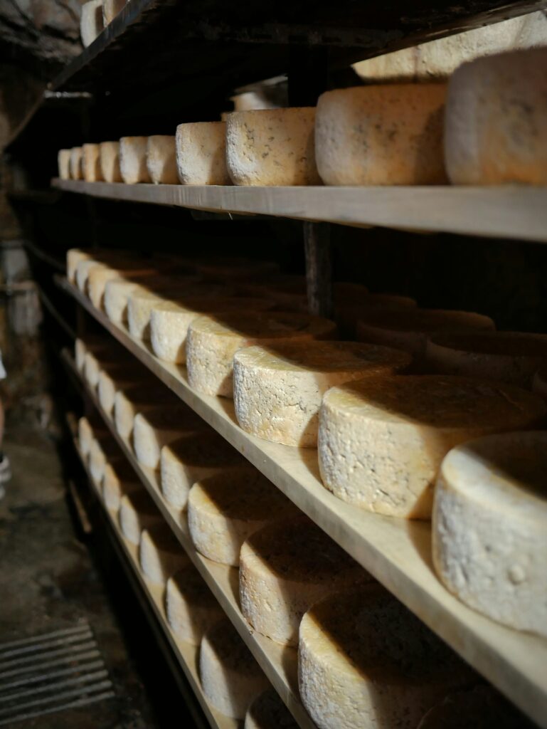 local New England dairy farm